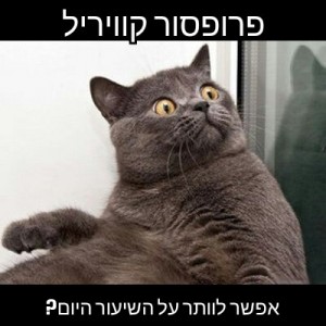 תמונה: בן מקהילת הקוראים בישראל