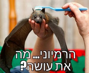תמונה: Ben Cale